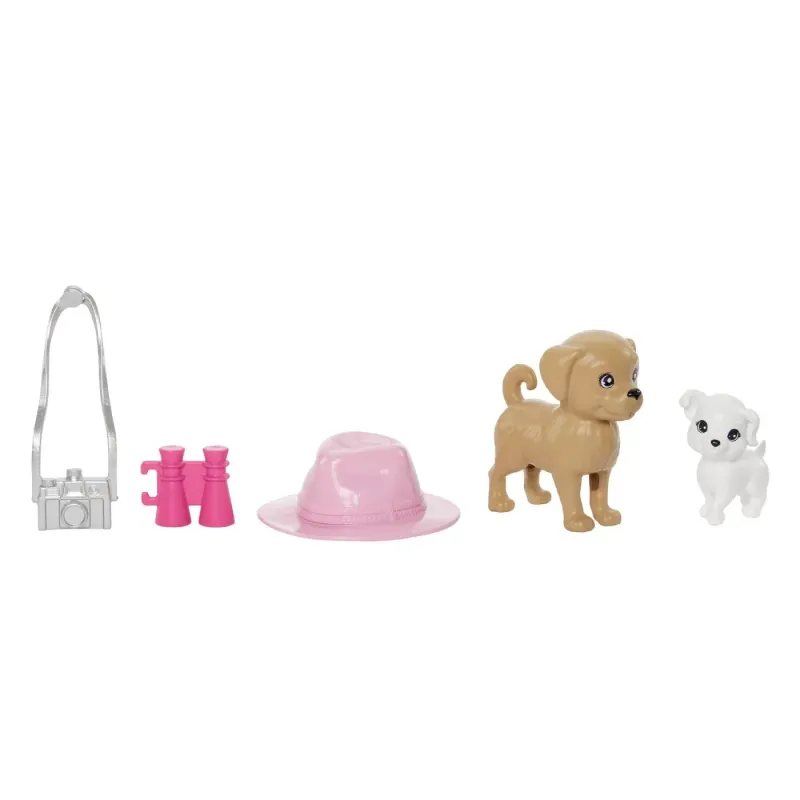 BARBIE ȘI STACIE SET PAPUSA BARBIE ȘI PAPUSA STACIE IUBITOARE DE CATEI