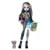 MONSTER HIGH PAPUSA FRANKIE STEIN ȘI ANIMALUT WATZIE