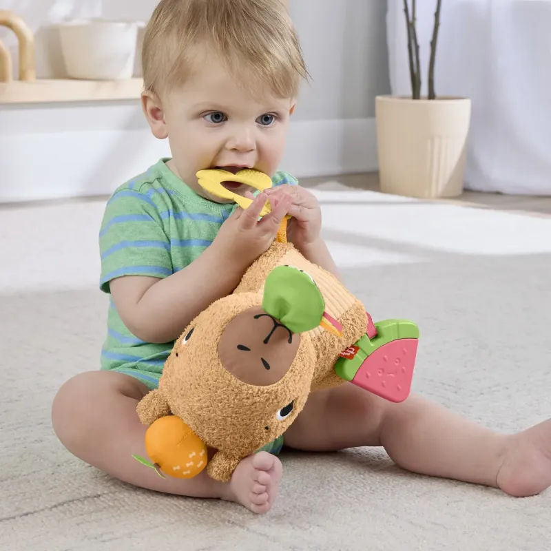 FISHER PRICE JUCĂRIE SENZORIALA CAPIBARA