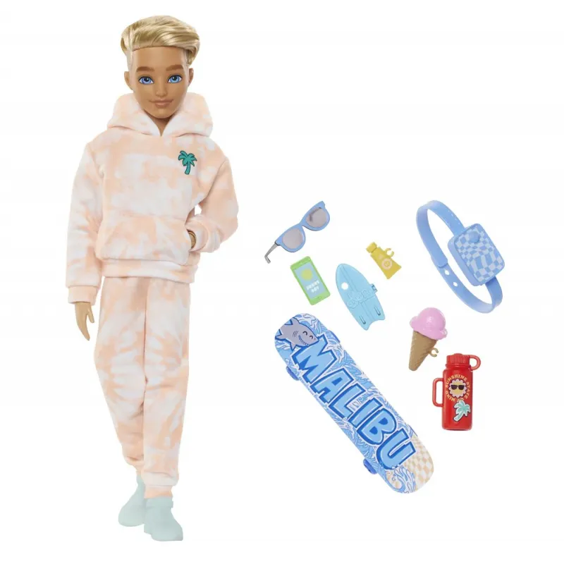 BARBIE DREAM BESTIES PAPUSA KEN CU ACCESORII