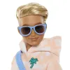 BARBIE DREAM BESTIES PAPUSA KEN CU ACCESORII