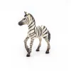 PAPO FIGURINĂ PUI DE ZEBRA