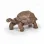 PAPO FIGURINĂ TESTOASA GALAPAGOS