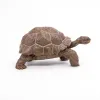 PAPO FIGURINĂ TESTOASA GALAPAGOS
