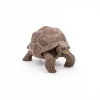 PAPO FIGURINĂ TESTOASA GALAPAGOS
