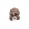 PAPO FIGURINĂ TESTOASA GALAPAGOS