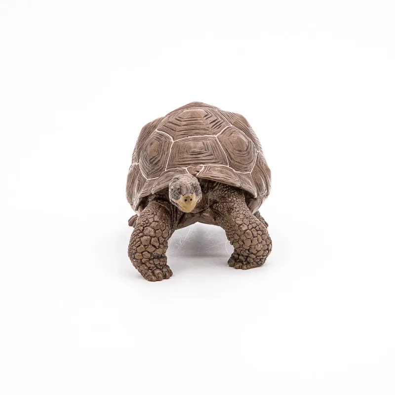 PAPO FIGURINĂ TESTOASA GALAPAGOS