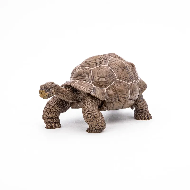PAPO FIGURINĂ TESTOASA GALAPAGOS