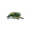 PAPO FIGURINĂ CARABUS