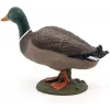 PAPO FIGURINĂ RATA MALLARD