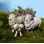 PAPO FIGURINĂ OAIE MERINOS