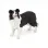 PAPO FIGURINĂ CĂȚEL BORDER COLLIE