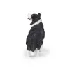 PAPO FIGURINĂ CĂȚEL BORDER COLLIE