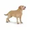 PAPO FIGURINĂ CĂȚEL LABRADOR
