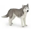 PAPO FIGURINĂ HUSKY SIBERIAN
