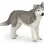 PAPO FIGURINĂ HUSKY SIBERIAN