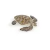 PAPO FIGURINĂ BROASCA TESTOASA DE MARE