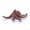 PAPO FIGURINĂ CARACATITA