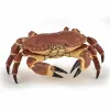 PAPO FIGURINĂ CRAB