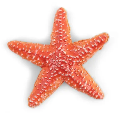 PAPO FIGURINĂ STEA DE MARE