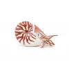 PAPO FIGURINĂ NAUTILUS
