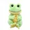 PLUS TY 15CM BEANIE BELLIES SNAPPER BROASCA VERDE