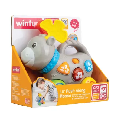 WINFUN JUCĂRIE DE IMPINS ELAN