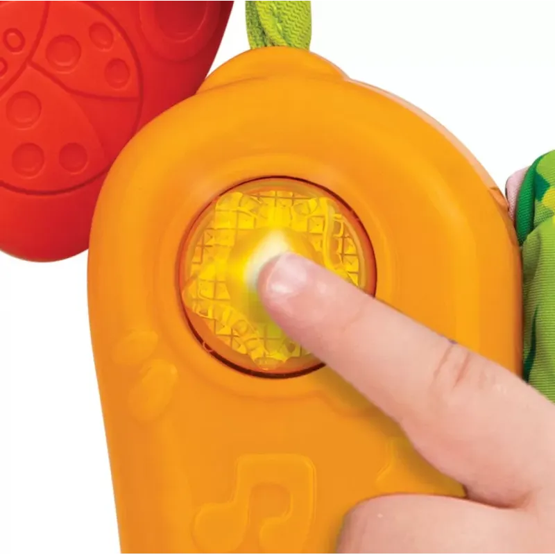 WINFUN CARTE SENZORIALA