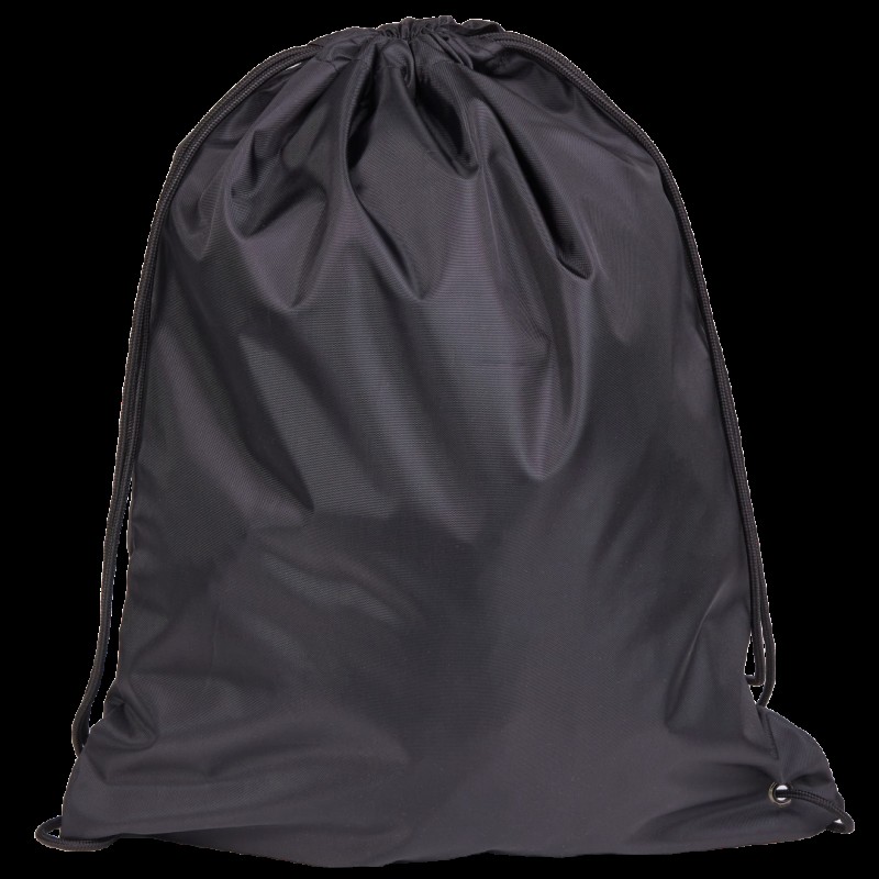 Ghiozdane si rechizite - Sac sport LEGO Bricks - 10034-2511