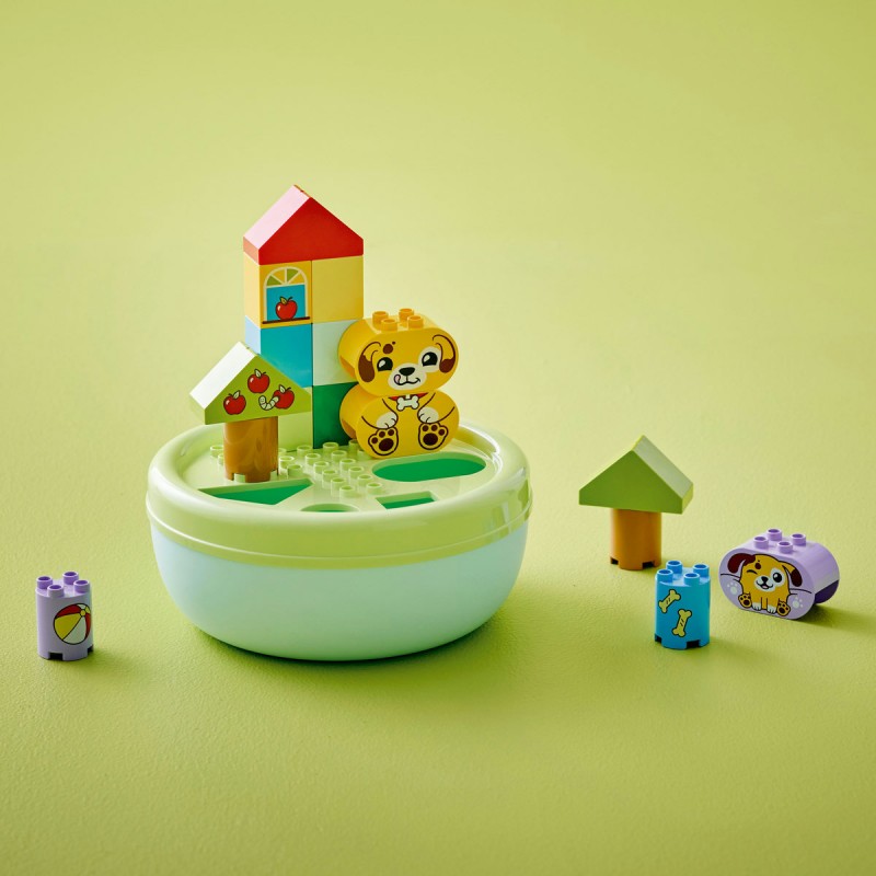 LEGO DUPLO - Sortator de forme: casă pentru căţei - 10441