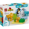 LEGO DUPLO - Familii de animale salbatice: Pinguini si lei - 10442