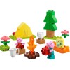 LEGO DUPLO - Excursie cu cortul - 10452