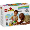 LEGO DUPLO - Petrecerea de ziua de nastere a lui Winnie de Plus - 10457