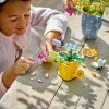 LEGO Creator - Flori in stropitoare - 31149