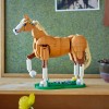 LEGO Creator - Cal frumos - 31166